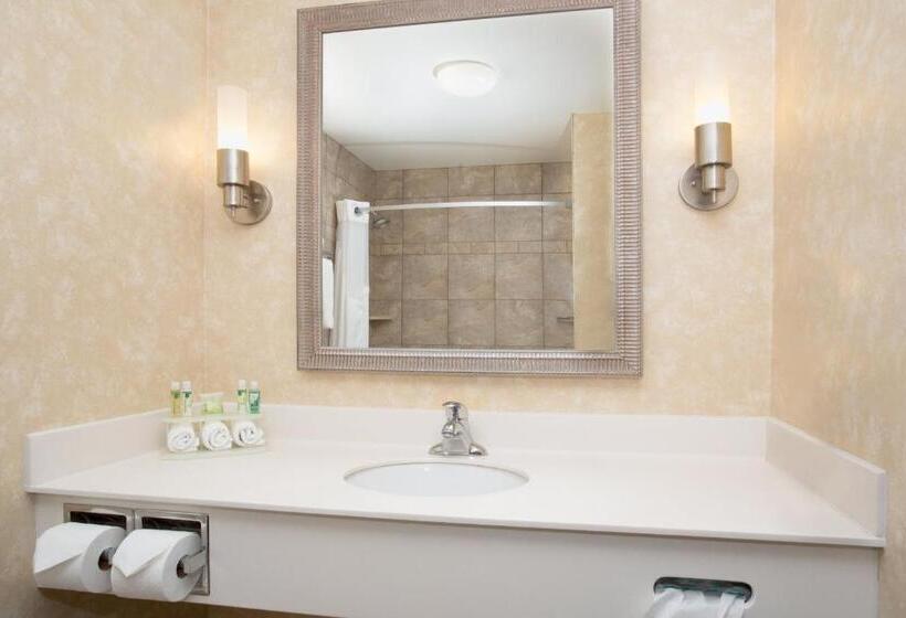 Люкс, Holiday Inn Express Hotel & Suites Minot South, An Ihg