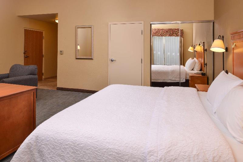 Студио Стандарт Кровать Кинг, Hampton Inn & Suites Tampa East