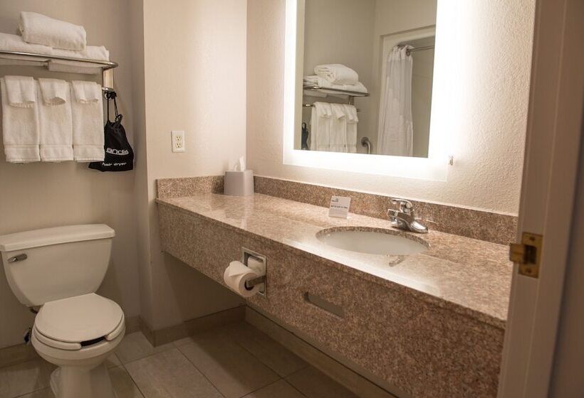 Suite, Holiday Inn Express Hotel & Suites Elkhart South, An Ihg