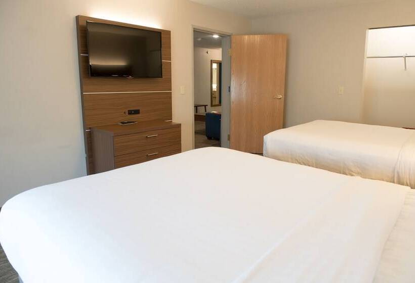 Suite, Holiday Inn Express Hotel & Suites Elkhart South, An Ihg