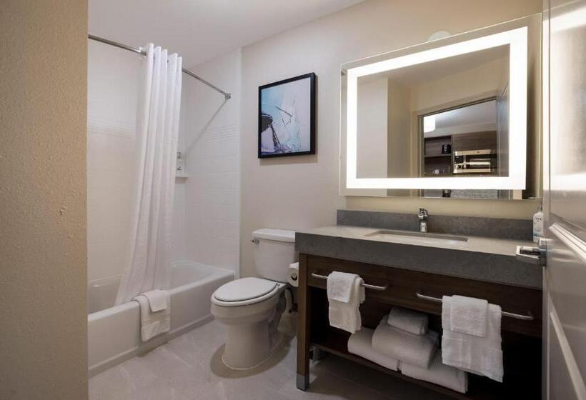 Студио Стандарт Кровать Кинг, Candlewood Suites Lafayette   River Ranch, An Ihg