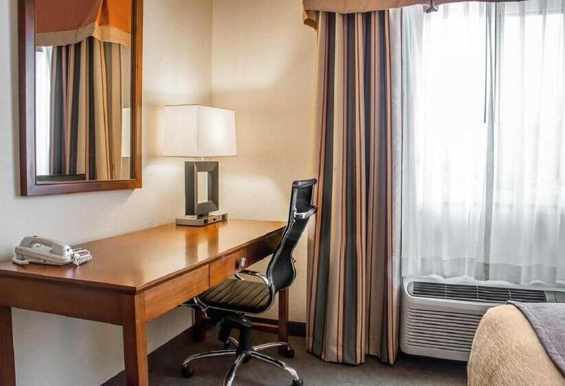 스탠다드 룸 킹사이즈 침대, Comfort Inn Near University
