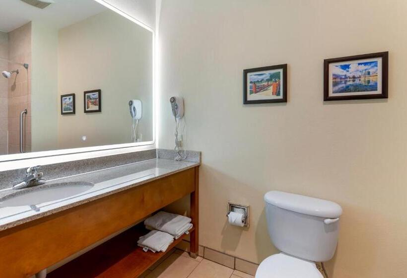 스탠다드 룸 킹사이즈 침대, Comfort Inn Near University