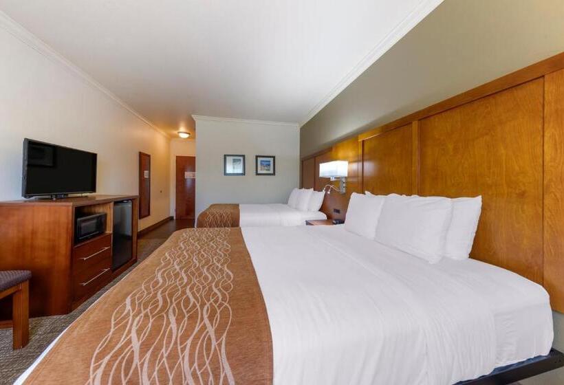스탠다드 룸, Comfort Inn Near University
