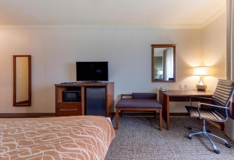 장애인을 위한 킹사이즈 침대 스탠다드 룸, Comfort Inn Near University