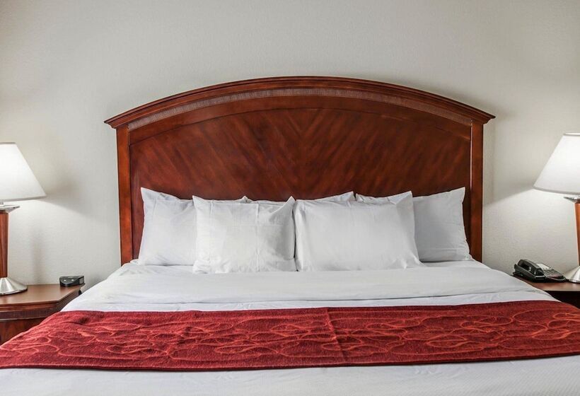 Suite, Comfort Suites Near Indianapolis Airport