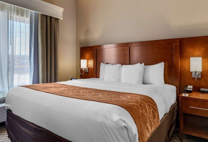 스위트, Comfort Suites Near Texas A&m   Corpus Christi
