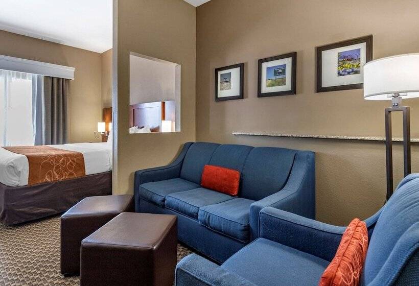 장애인을 위한 스위트, Comfort Suites Near Texas A&m   Corpus Christi