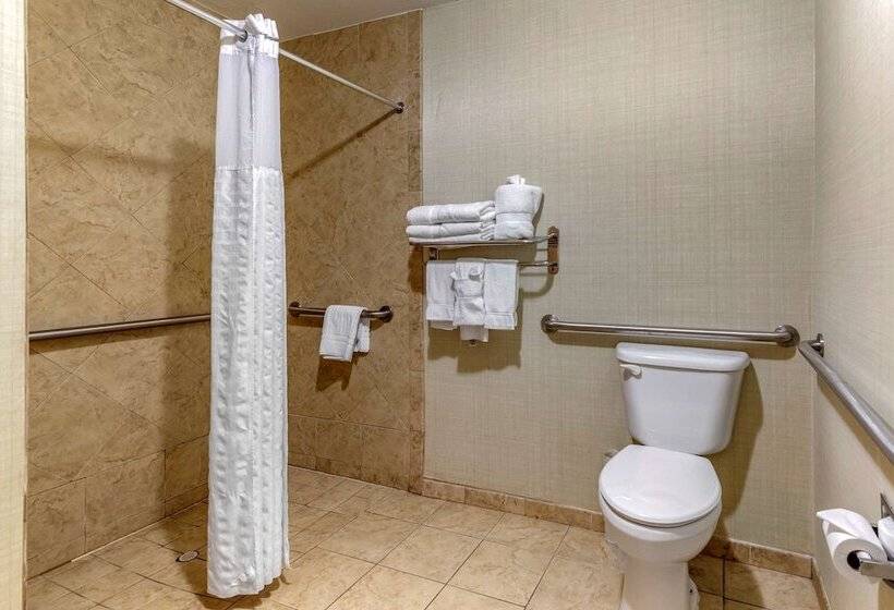 장애인을 위한 스위트, Comfort Suites Near Texas A&m   Corpus Christi