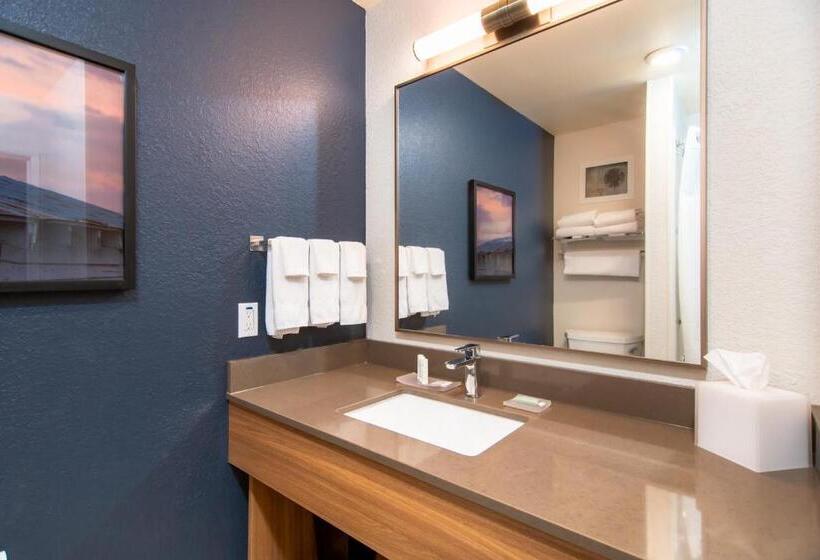 Номер Стандарт, Fairfield Inn & Suites Rapid City