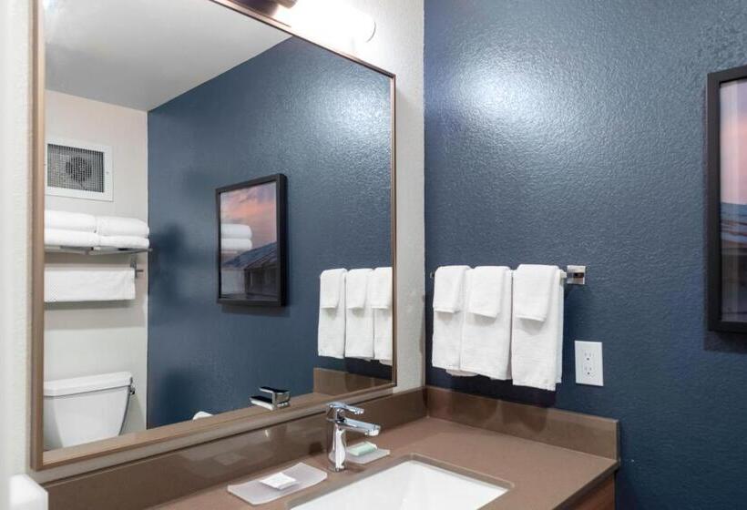 Стандартный Номер Кровать Кинг, Fairfield Inn & Suites Rapid City