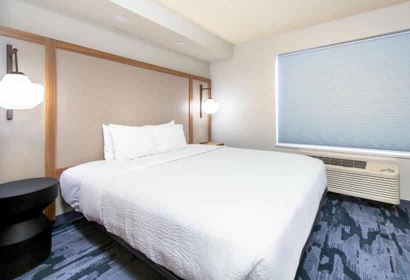 Стандартный Номер Кровать Кинг, Fairfield Inn & Suites Rapid City