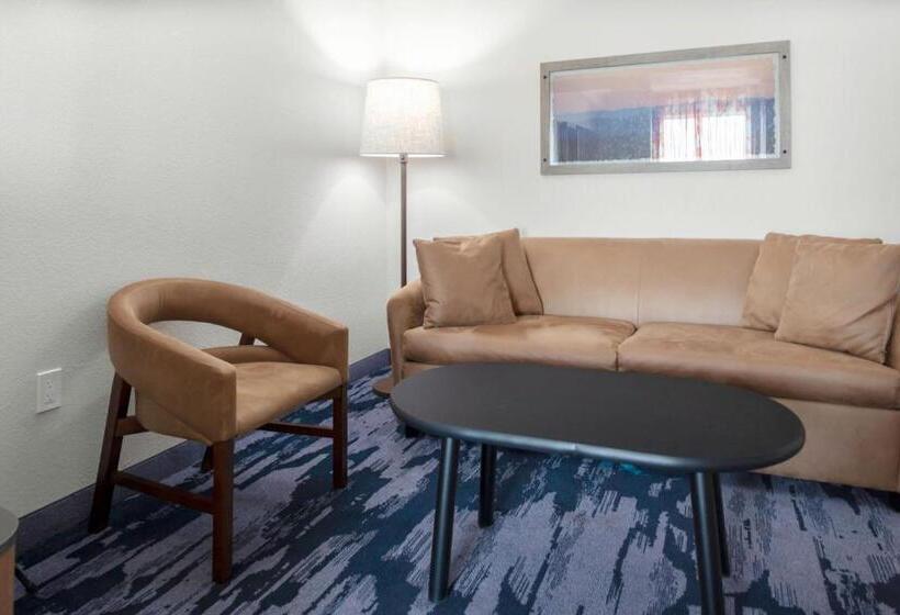Люкс Кровать Кинг, Fairfield Inn & Suites Rapid City