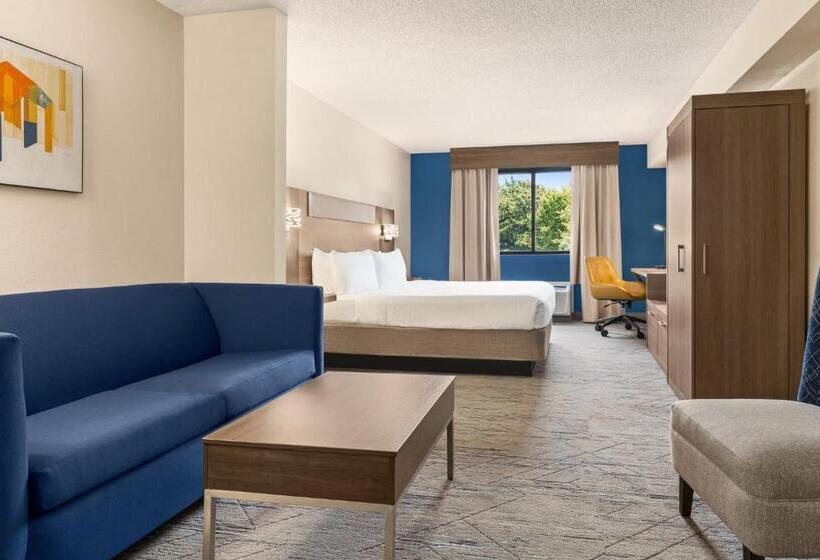 스위트 킹사이즈 침대, Holiday Inn Express & Suites Greenville Downtown, An Ihg