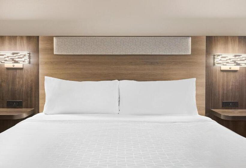 스위트 킹사이즈 침대, Holiday Inn Express & Suites Greenville Downtown, An Ihg