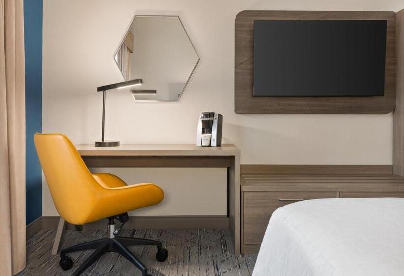 장애인을 위한 스탠다드 룸, Holiday Inn Express & Suites Greenville Downtown, An Ihg