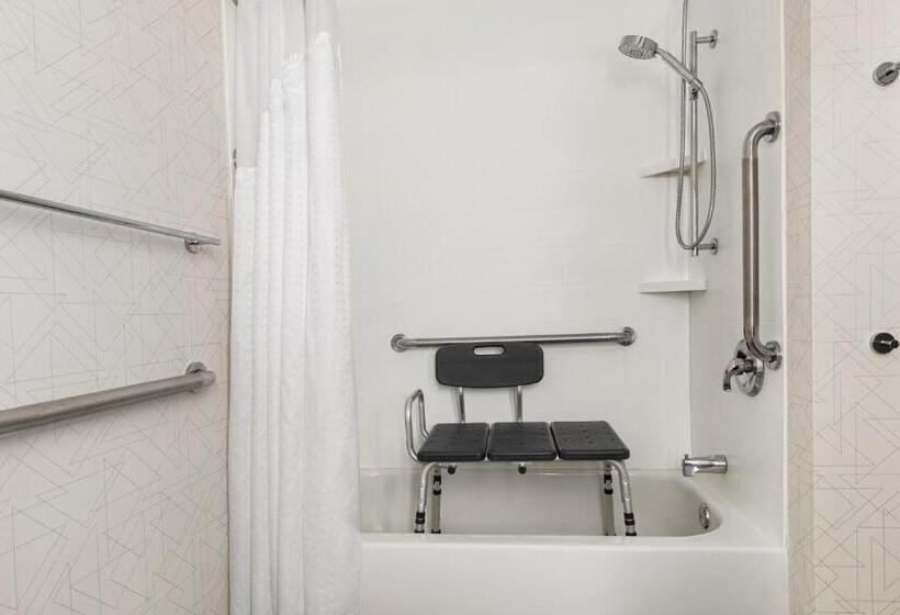장애인을 위한 스탠다드 룸, Holiday Inn Express & Suites Greenville Downtown, An Ihg