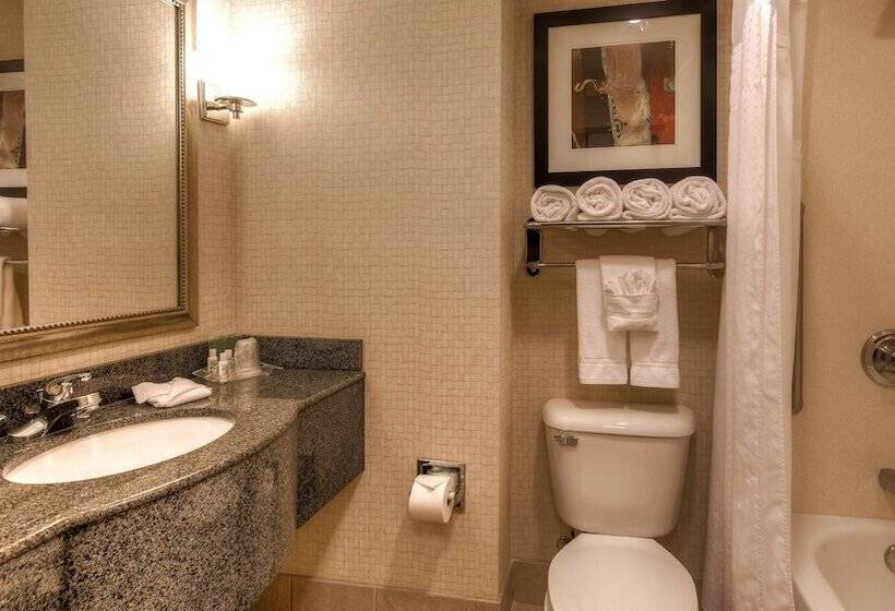 Люкс Адаптированный для Инвалидов, Holiday Inn North Quail Springs, An Ihg
