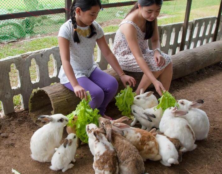 수피리어 룸, Kimberly Tagaytay