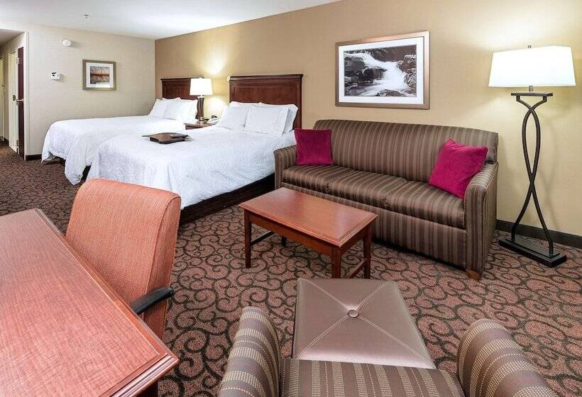 Люкс, Hampton Inn Littleton