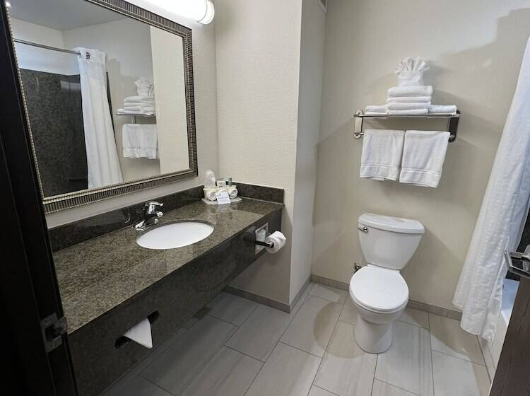 Номер Стандарт, Holiday Inn Express & Suites   Omaha I   80, An Ihg
