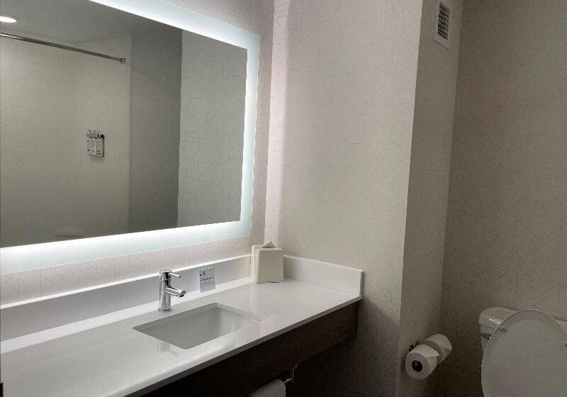 Стандартный Номер Кровать Кинг, Holiday Inn Express & Suites   Tuscaloosa University, An Ihg