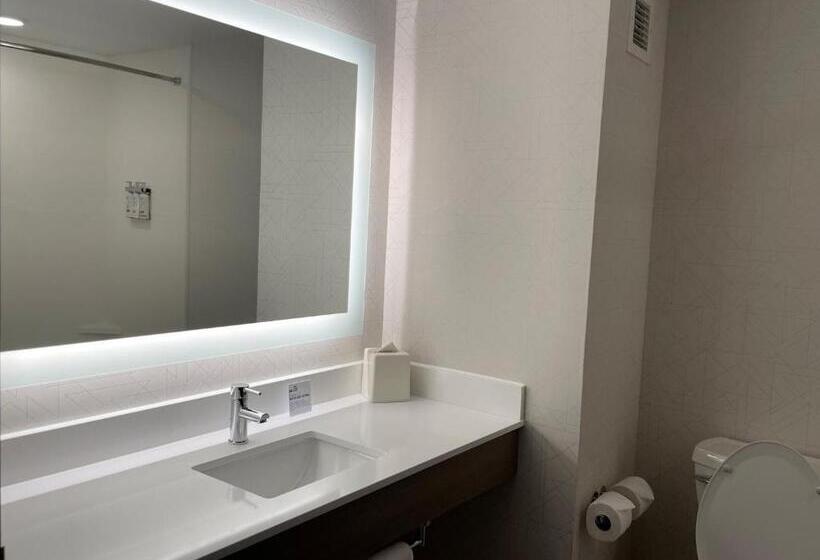 Стандартный Номер Кровать Кинг, Holiday Inn Express & Suites   Tuscaloosa University, An Ihg