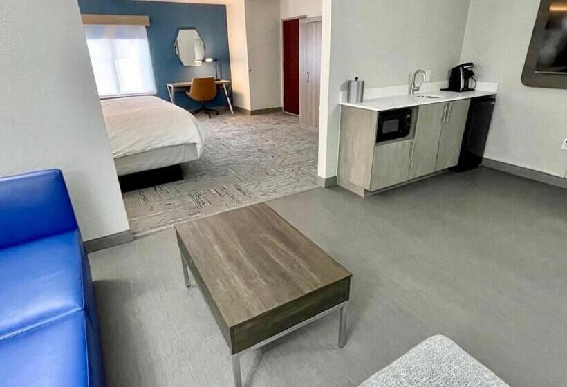 Люкс Кровать Кинг, Holiday Inn Express & Suites   Tuscaloosa University, An Ihg