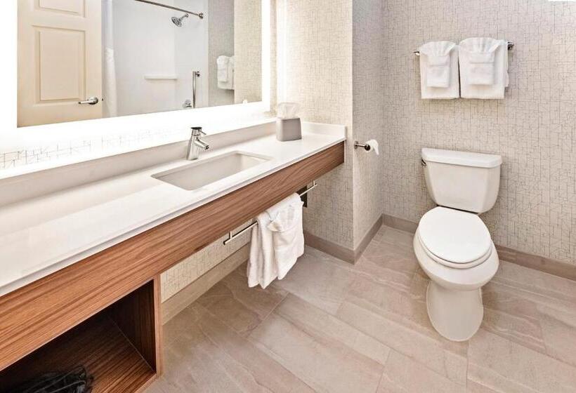 장애인을 위한 스위트, Holiday Inn Express Hotel & Suites Lake Zurich Barrington, An Ihg