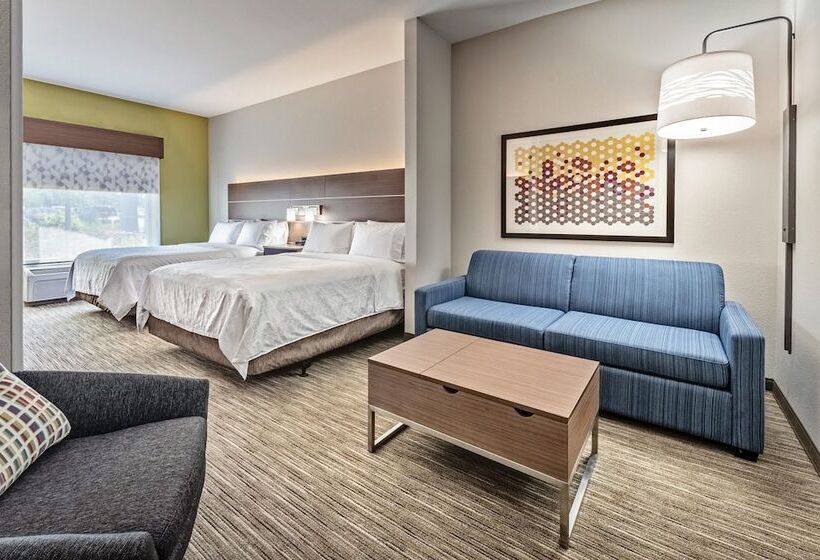 스위트, Holiday Inn Express Hotel & Suites Lake Zurich Barrington, An Ihg