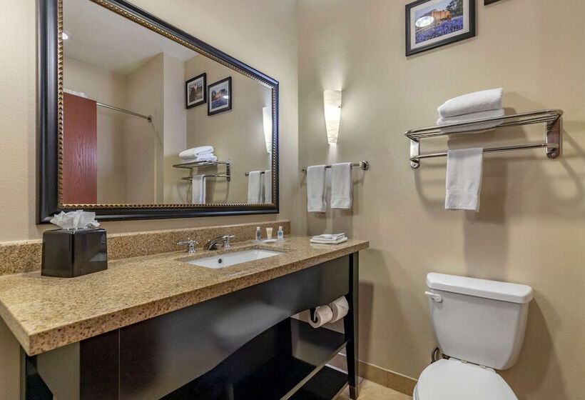 套房, Comfort Suites Buda   Austin South