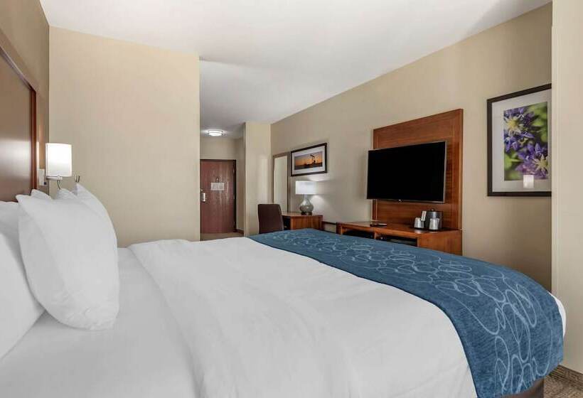 套房, Comfort Suites Buda   Austin South