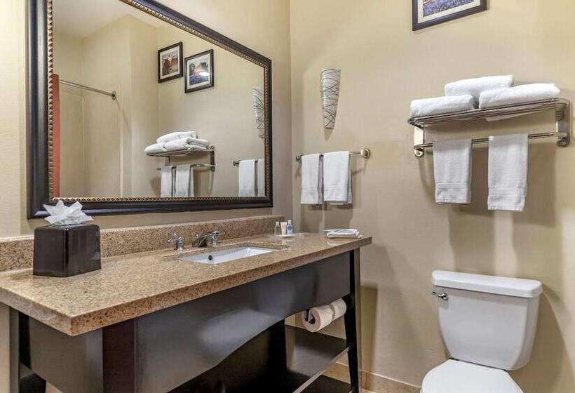 套房, Comfort Suites Buda   Austin South