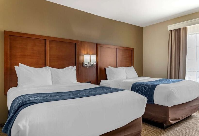 套房, Comfort Suites Buda   Austin South