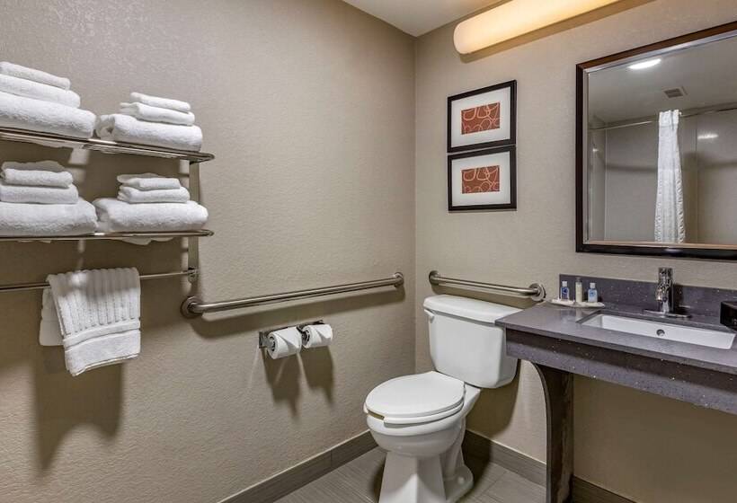 Люкс Адаптированный для Инвалидов, Comfort Suites Pineville  Ballantyne Area