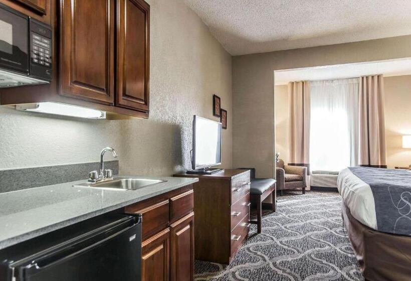 Люкс Кровать Кинг, Comfort Suites Pineville  Ballantyne Area