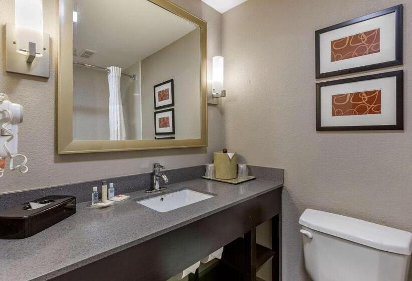 Люкс Адаптированный для Инвалидов, Comfort Suites Pineville  Ballantyne Area