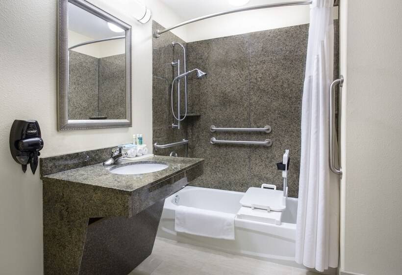 장애인을 위한 스탠다드 룸, Holiday Inn Express Hotel & Suites Pauls Valley By Ihg