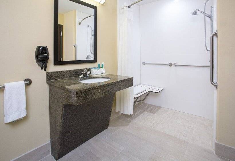 장애인을 위한 스위트, Holiday Inn Express Hotel & Suites Pauls Valley By Ihg