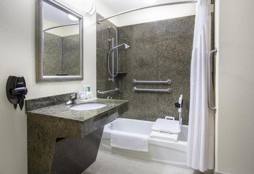 장애인을 위한 킹사이즈 침대 스탠다드 룸, Holiday Inn Express Hotel & Suites Pauls Valley By Ihg