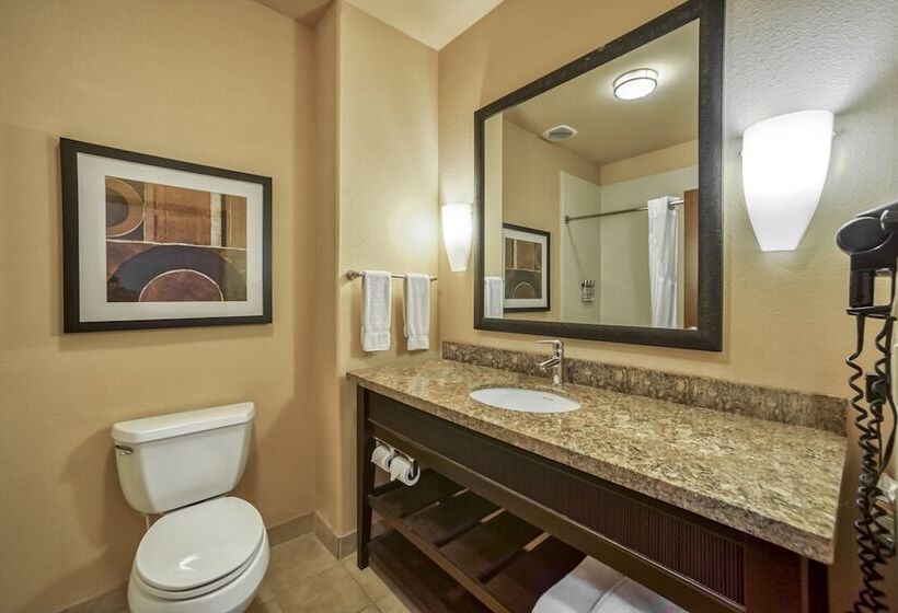 סוויטה מותאמת לאדם עם מוגבלויות, Holiday Inn Express Suites Beeville By Ihg