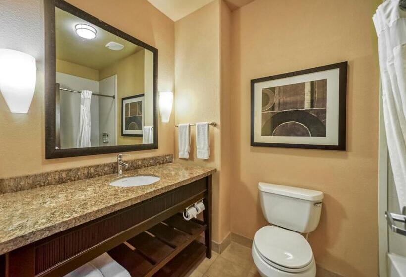 חדר סטנדרט, Holiday Inn Express Suites Beeville By Ihg