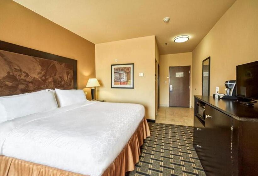 חדר סטנדרט עם מיטת קינג, Holiday Inn Express Suites Beeville By Ihg