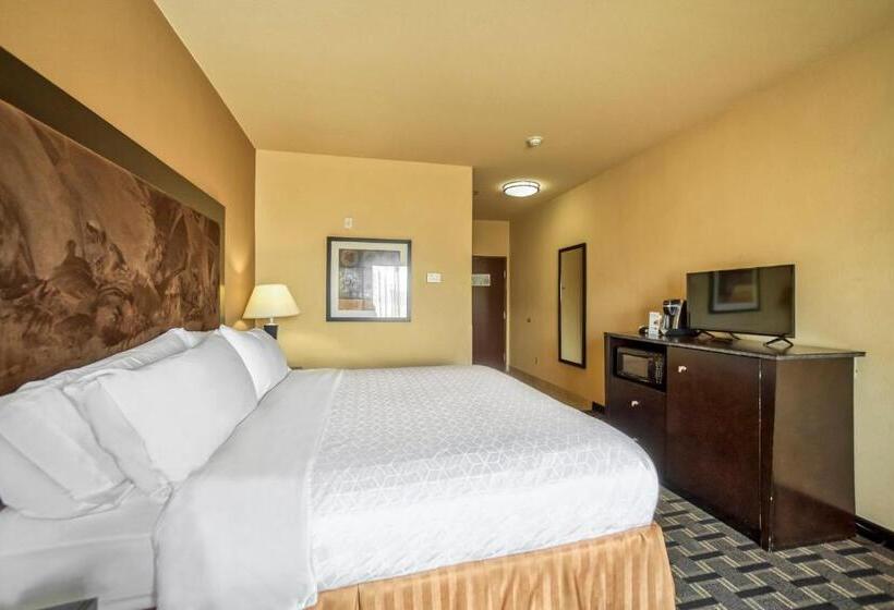 스탠다드 룸 킹사이즈 침대, Holiday Inn Express Suites Beeville By Ihg