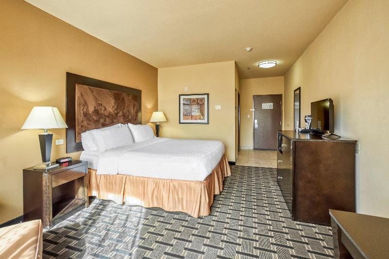 장애인을 위한 킹사이즈 침대 스탠다드 룸, Holiday Inn Express Suites Beeville By Ihg