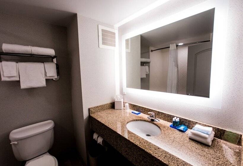 带2个双人床的标准工作室, Holiday Inn Express Dayton, An Ihg
