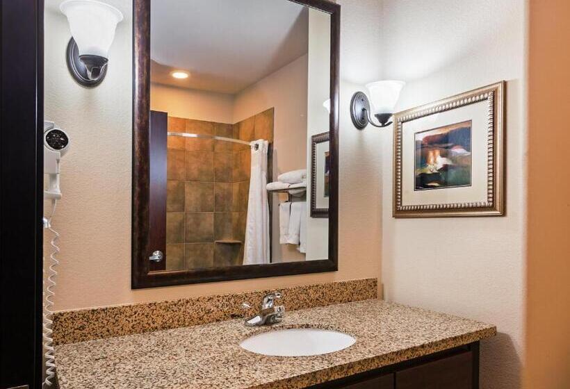 Номер Deluxe Кровать Кинг, Holiday Inn Express & Suites Brady, An Ihg