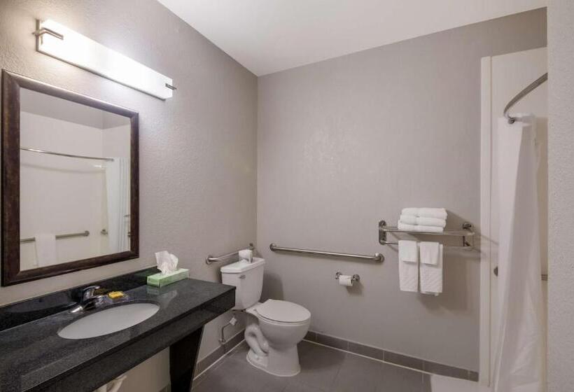 带大床的标准间, Best Western Plus Killeen/fort Cavazos Hotel & Suites