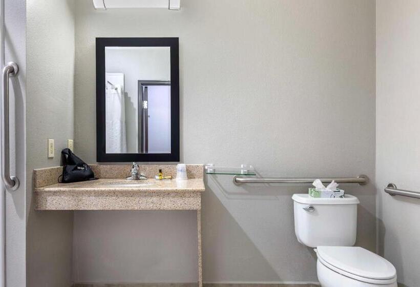 Номер Стандарт Кровать Кинг Адаптированный для Инвалидов, Best Western Plus Stephenville Inn