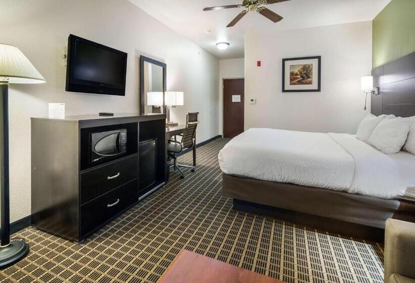 스탠다드 룸 킹사이즈 침대, Clarion Inn & Suites Weatherford South